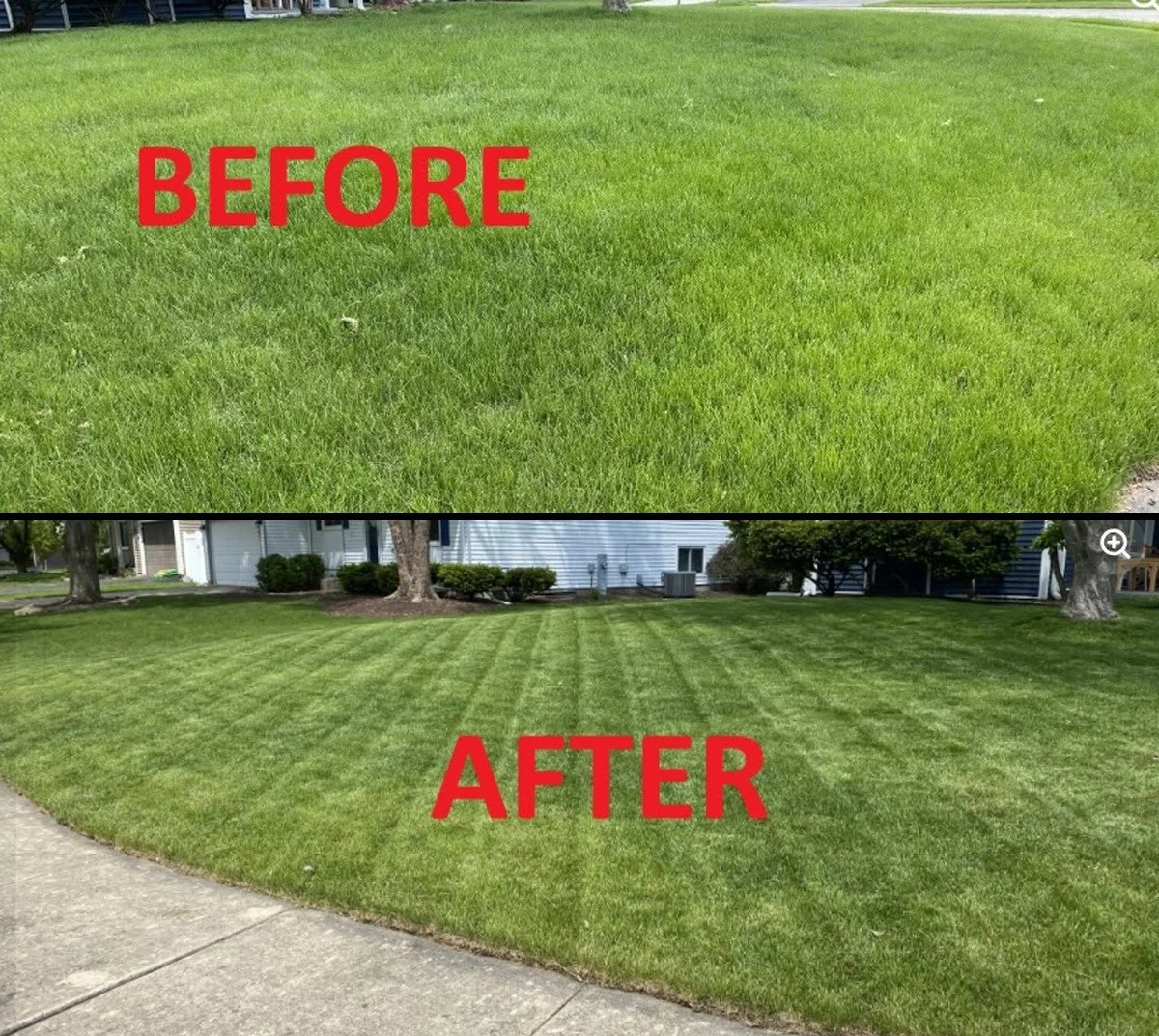 Weekly mow and edge — front lawn.
