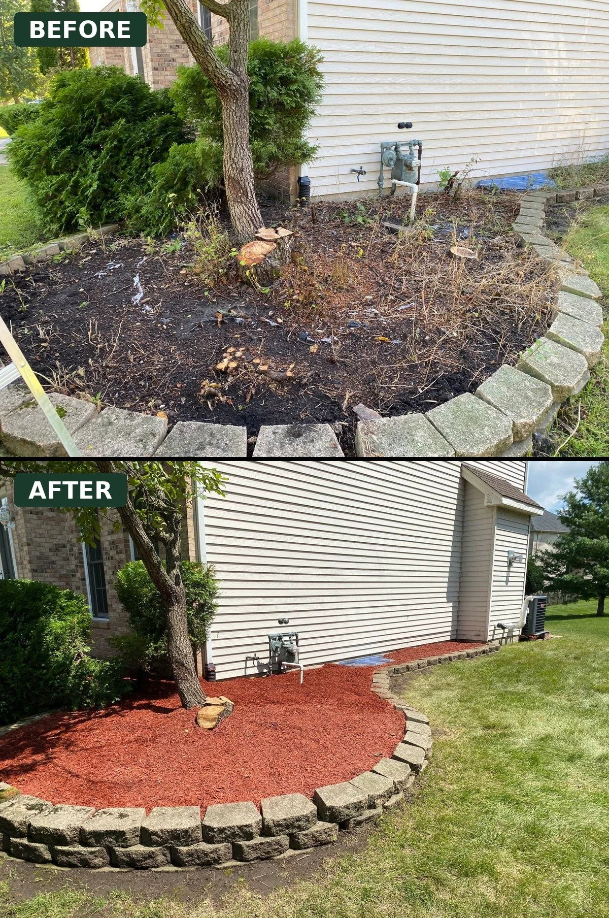 Tree ring refresh — weeded, edged, and mulched.