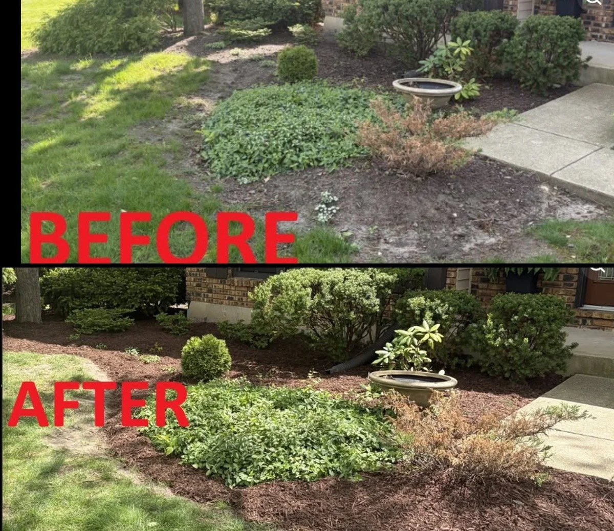 Flower bed cleanup and new mulch around the birdbath.