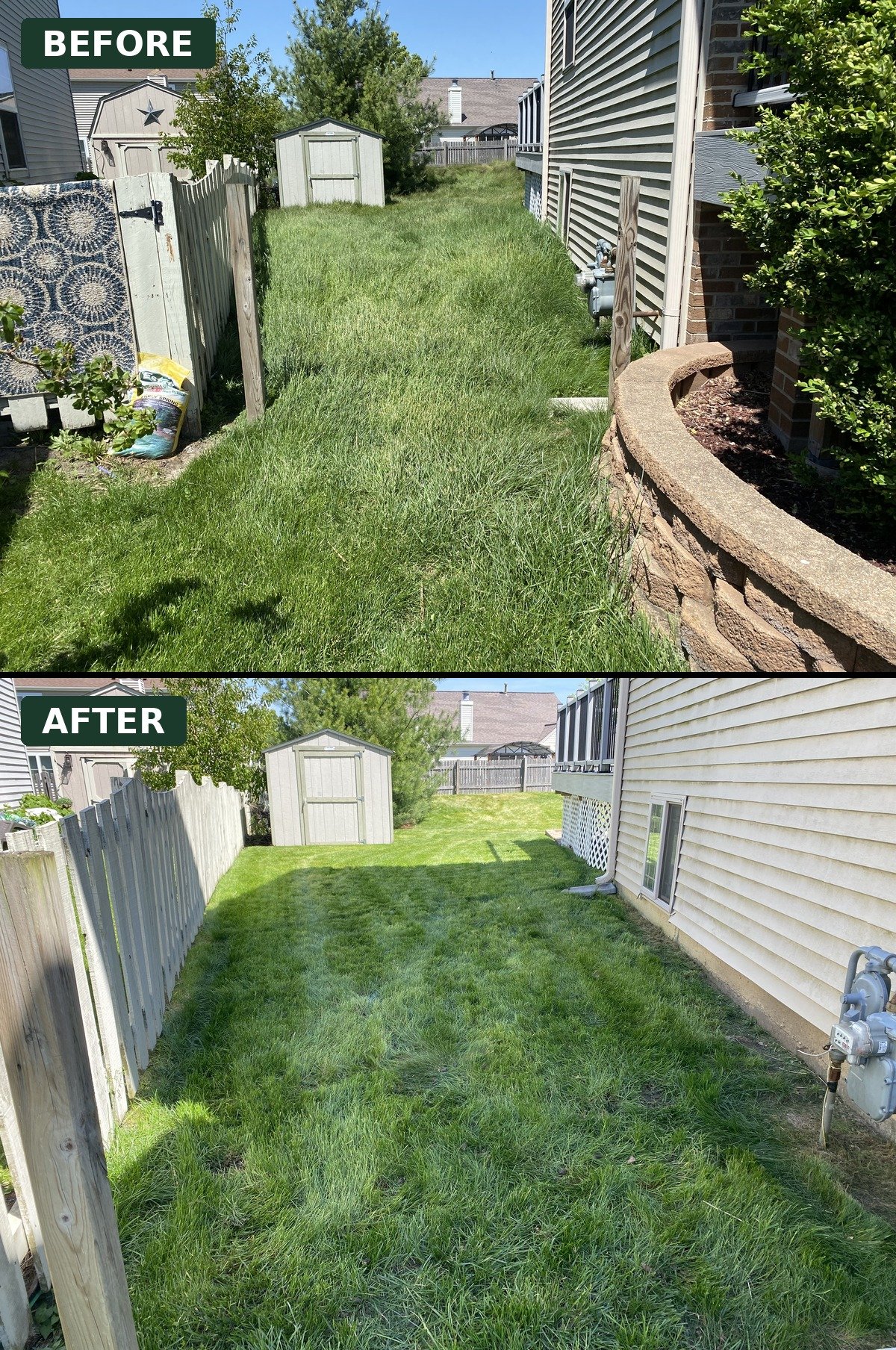 Months of overgrowth brought back to health.