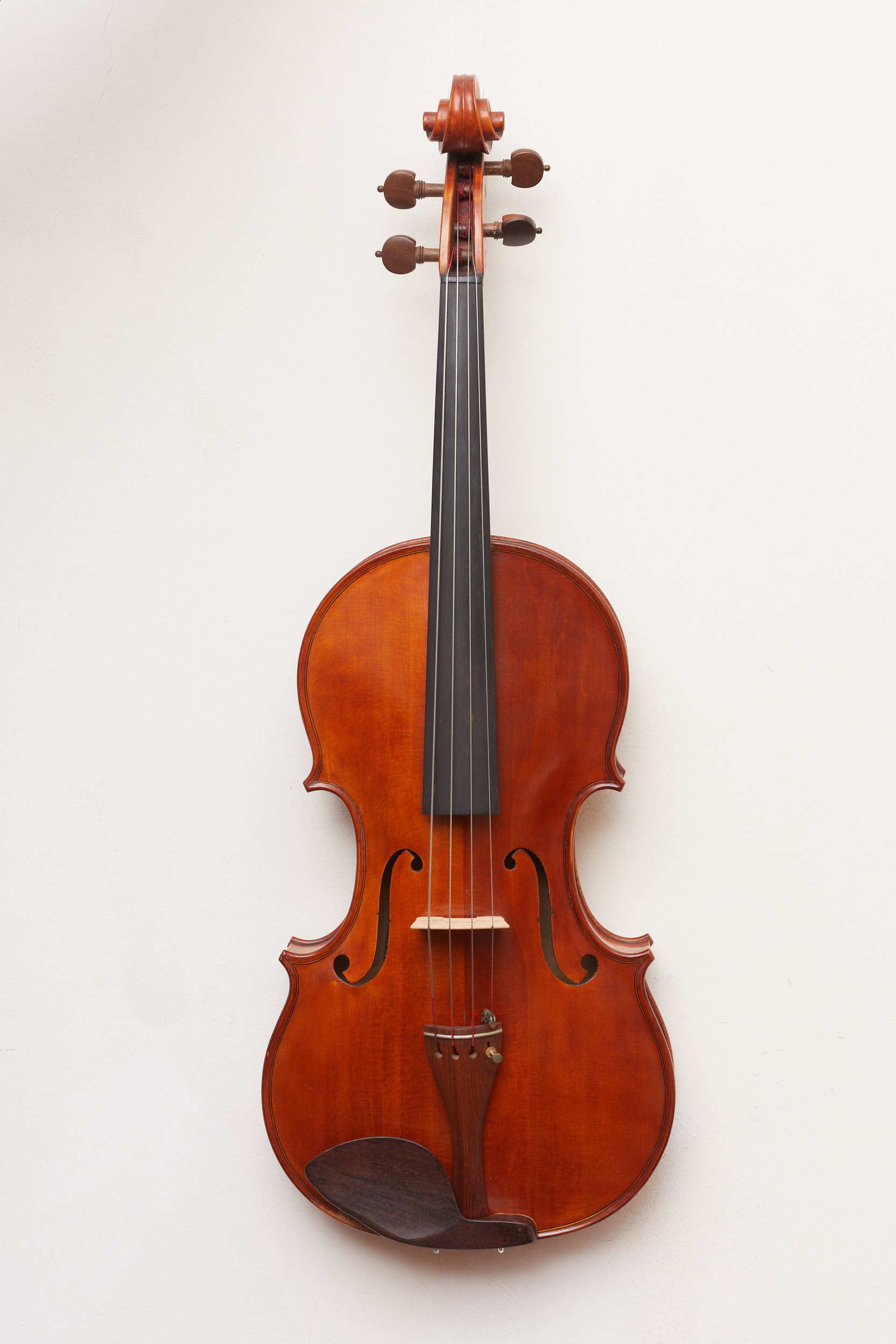 Violas