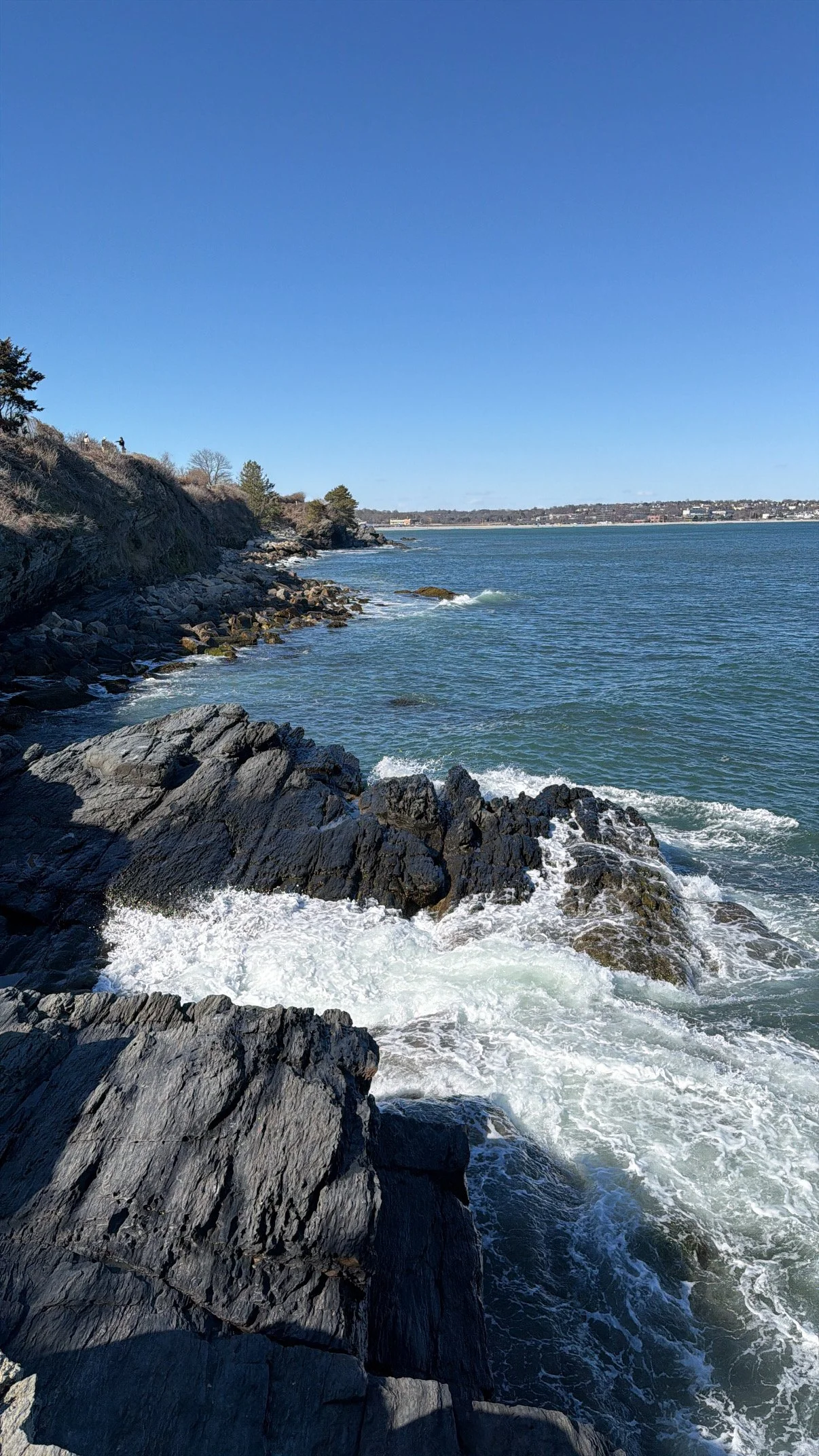 Rocky shoreline with ocean waves crashing against the rocks under a clear blue sky, with a distant land and few trees in the background.