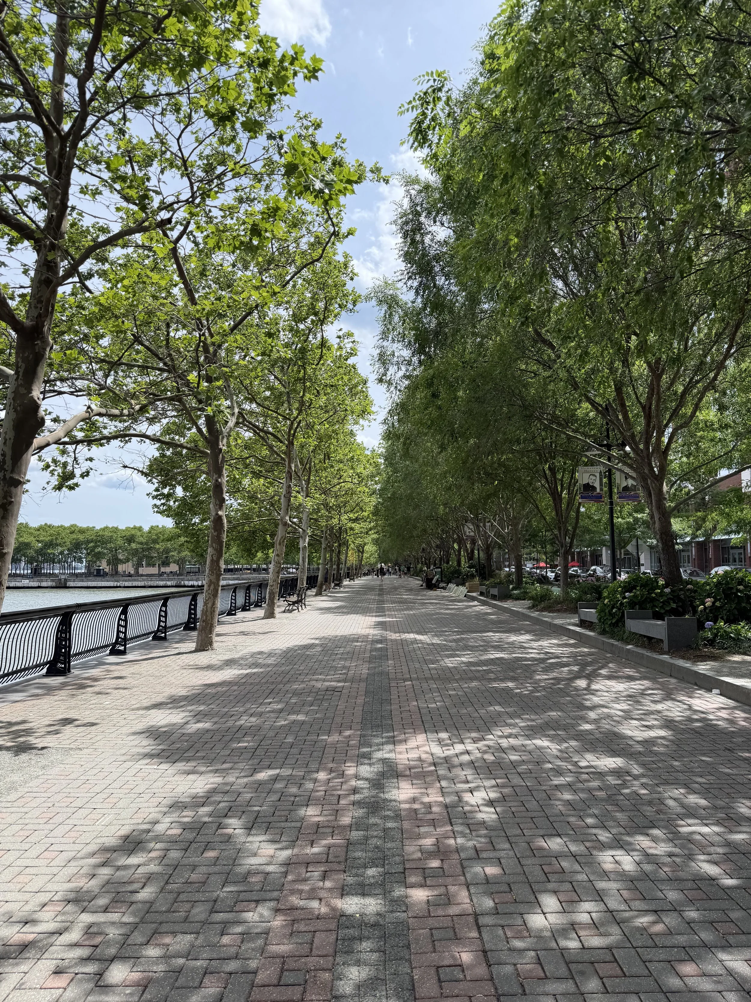 A tree-lined sidewalk by a body of water with benches, shrubs, and streetlights on a sunny day.