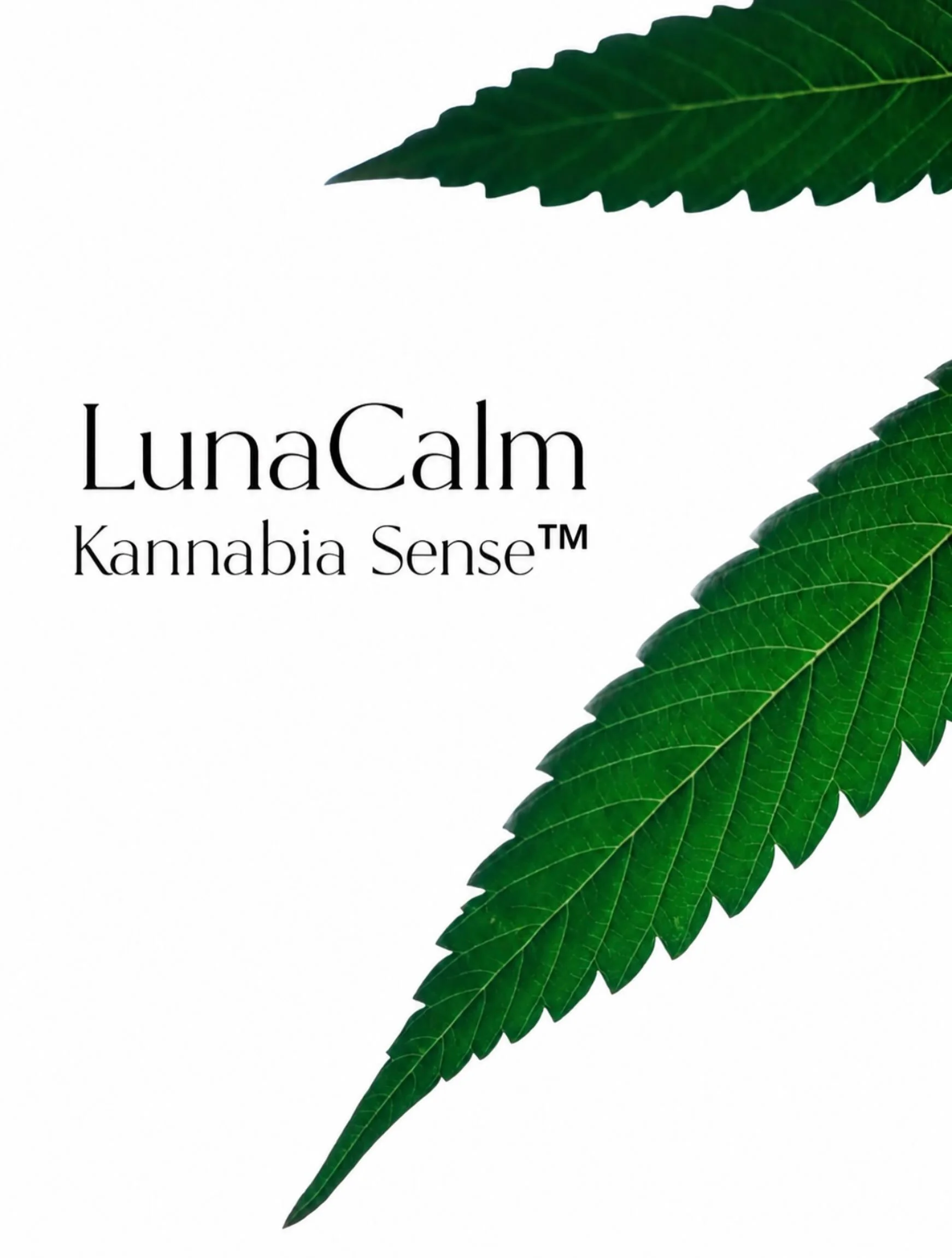 Ai auzit vreodata de o mască ce poate influența comunicarea dintre piele și sistemul nervos?

Asta face Kannabia Sense&trade;, unul dintre ingredientele-cheie din crema-mască LunaCalm.

Kannabia Sense&trade; lucrează &icirc;mpreună cu microorganismel