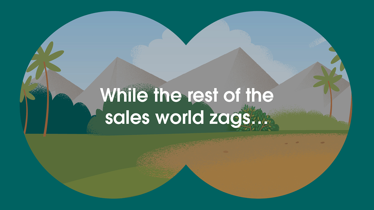 slc-storyboard-intro-to-zig-scene-01-01 1.png