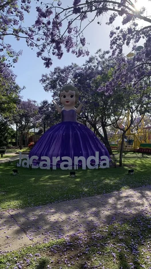 Jacaranda Festival Membership