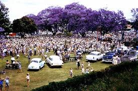 People gathering in a park with vintage cars and large purple flowering trees in the background.