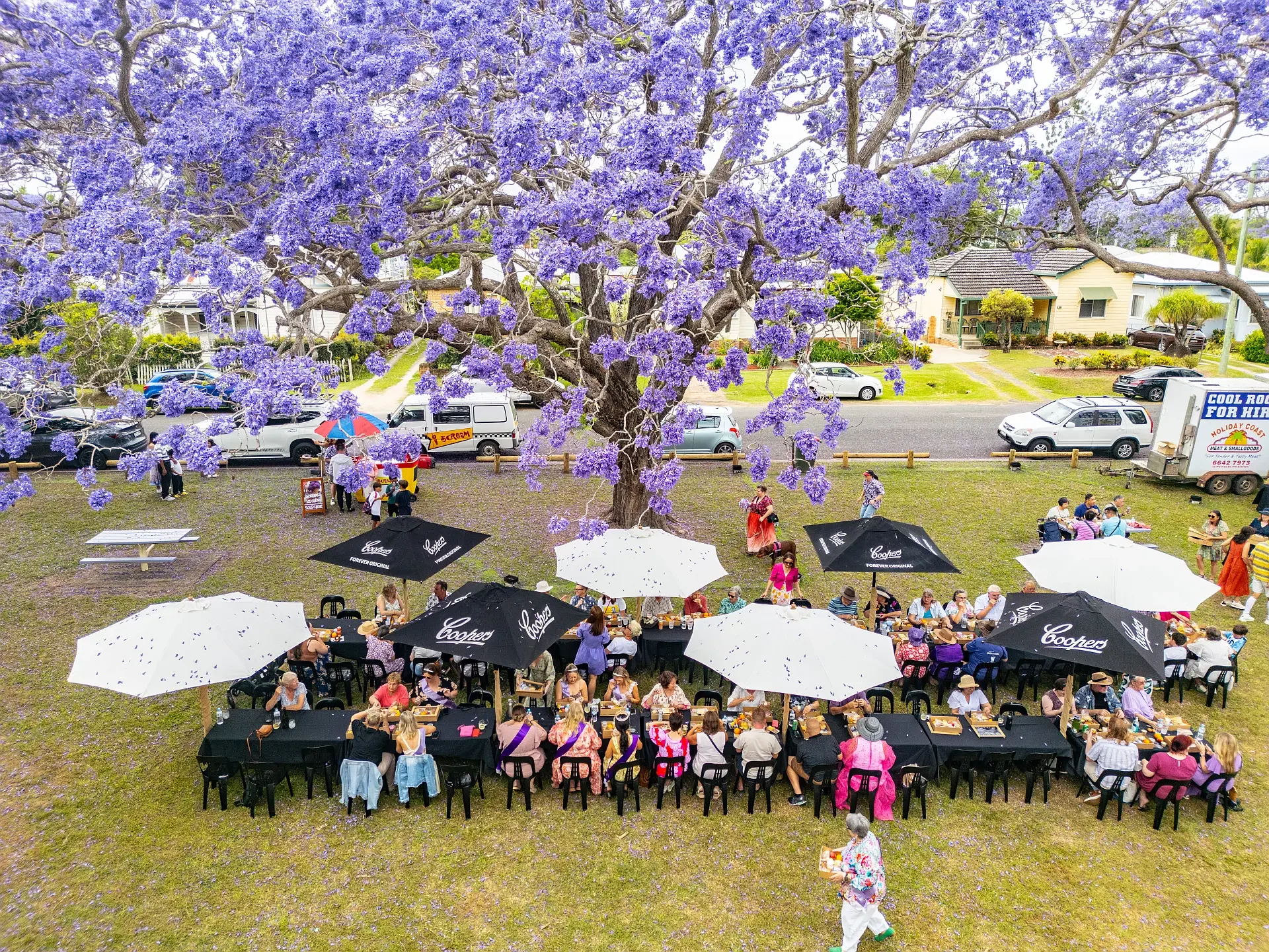 A lively outdoor gathering in a park with a large purple flowering tree at the center. Under umbrellas, people sit at long tables enjoying food and drinks. Some individuals are walking, and there is a food stand in the background, along with parked cars and houses.