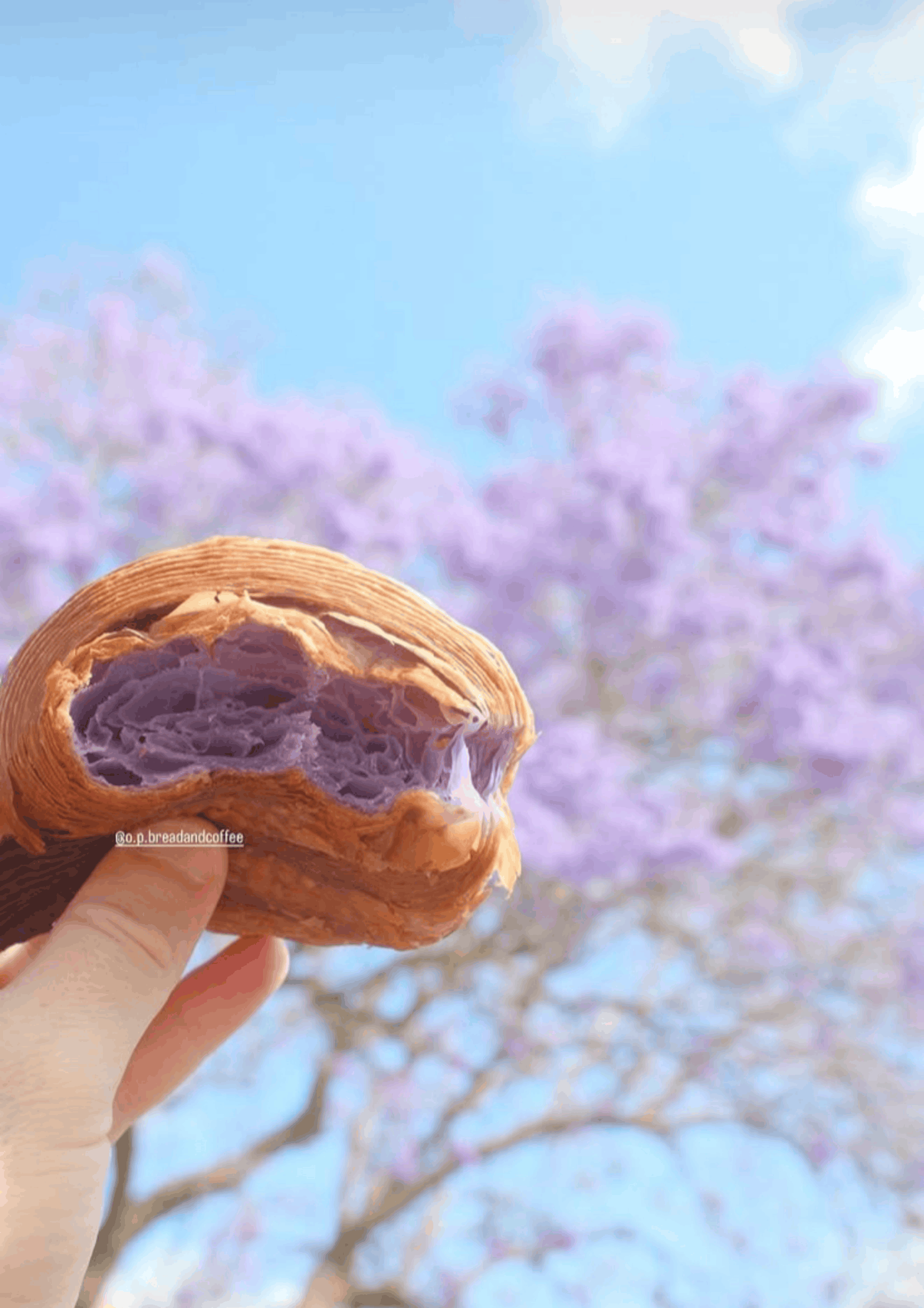 Close-up of a hand holding a purple and beige rolled ice cream cone against a backdrop of a blue sky with blooming purple trees.