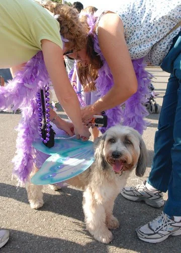 DSC_0071A.jpg