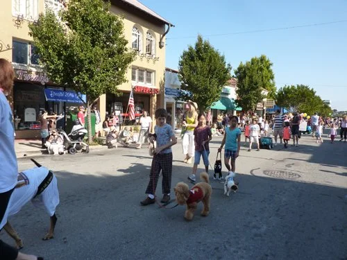 P1010261.jpg