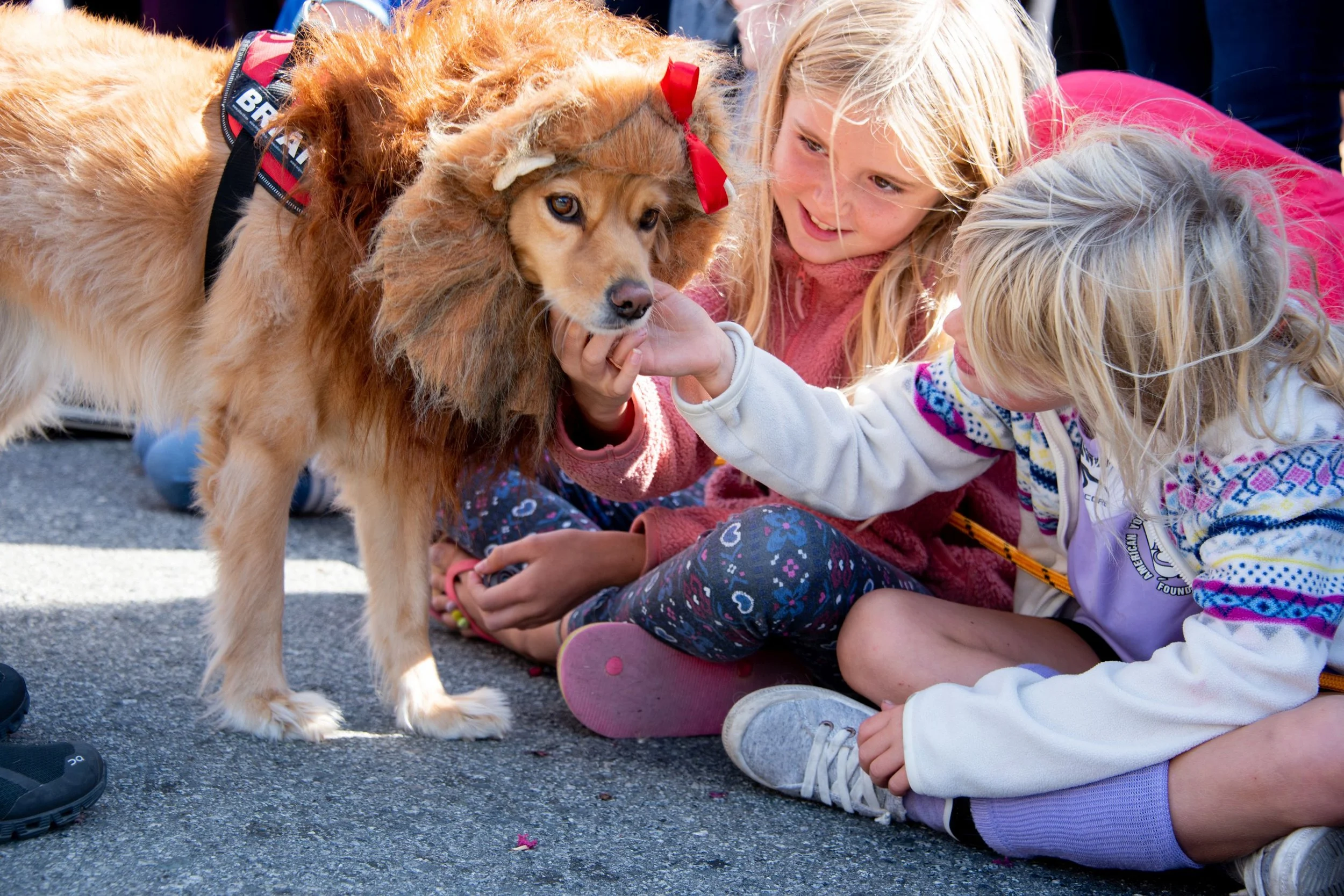Children with lion dog_by Susan Munroe.jpg