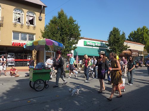 P1010296.jpg