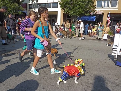 P1010321.jpg