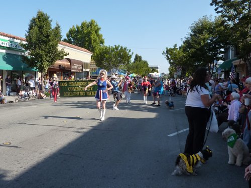 P1010289.jpg