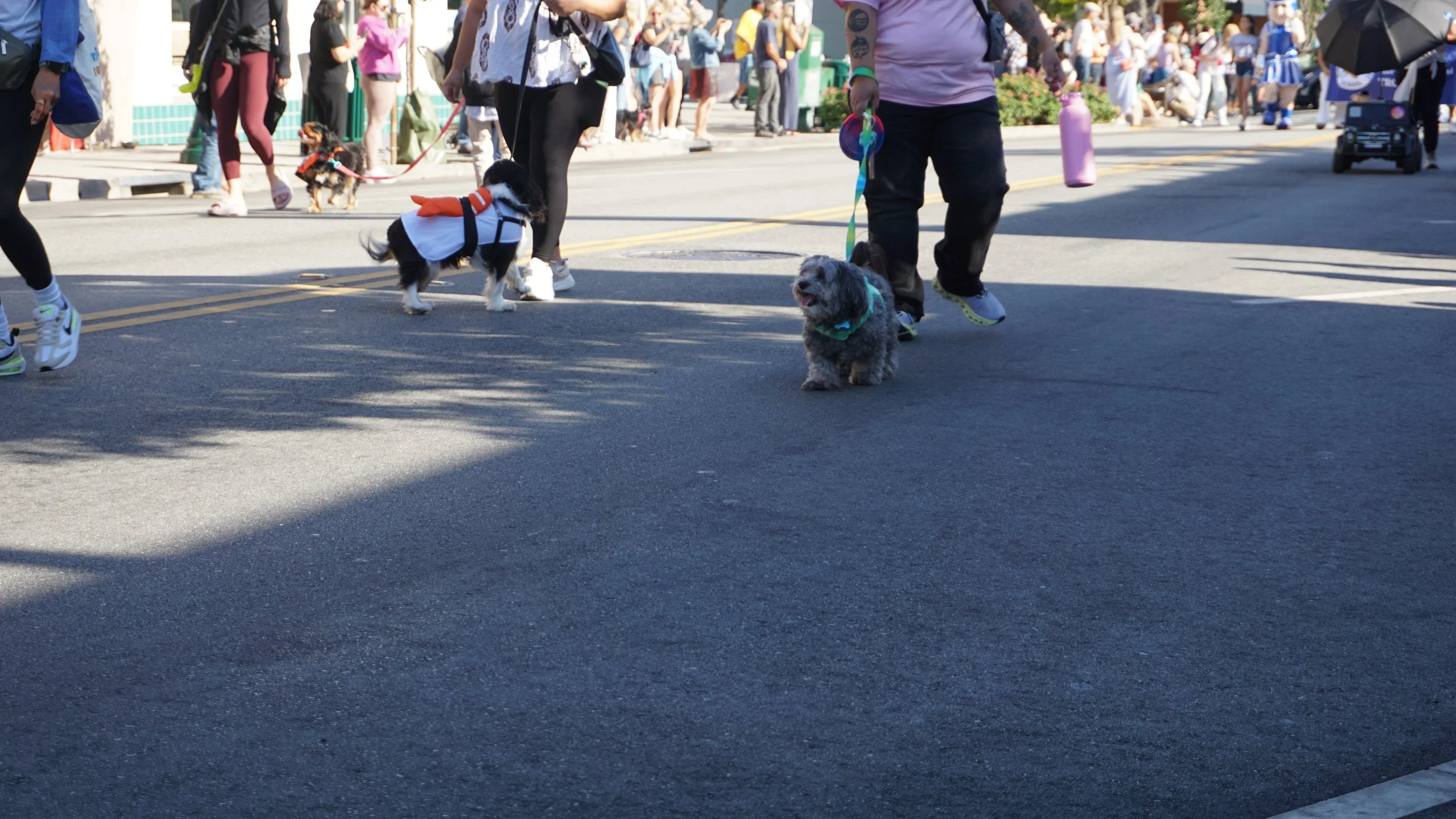 DSC01009.JPG