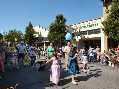 P1010331.jpg