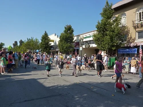 P1010315.jpg