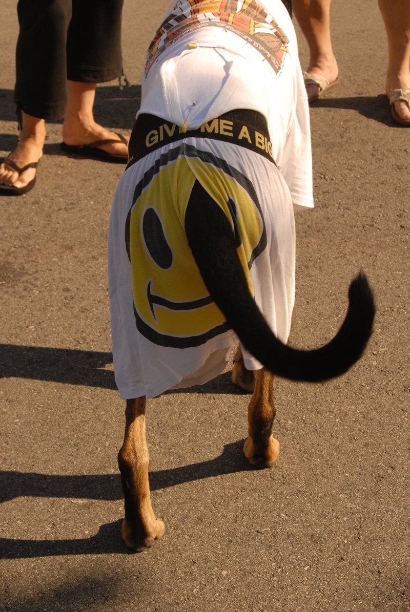 2009