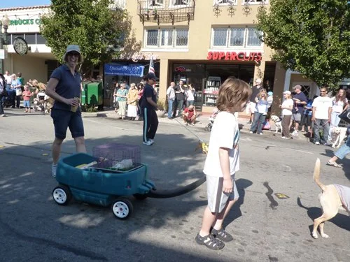 P1010317.jpg