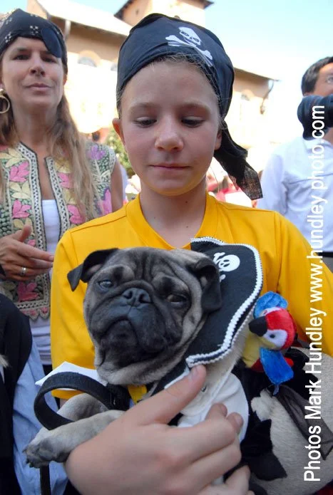 PiratePug.jpg