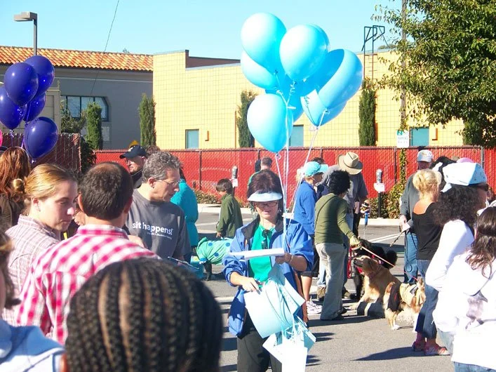 z100_1313.jpg