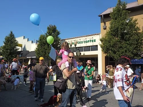 P1010333.jpg