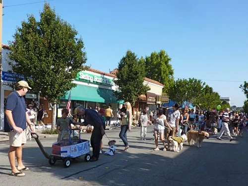 P1010265.jpg