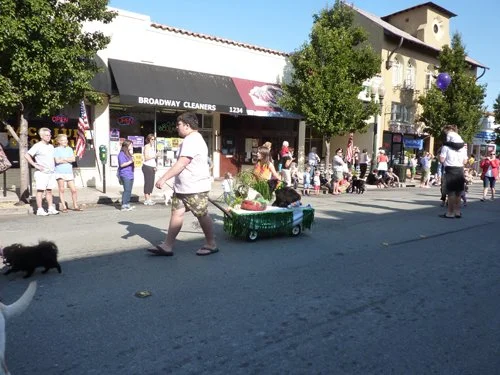 P1010256.jpg