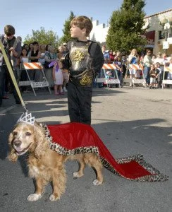 RoyalDog-244x300.jpg