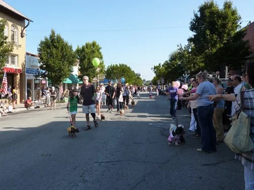 P1010260.jpg