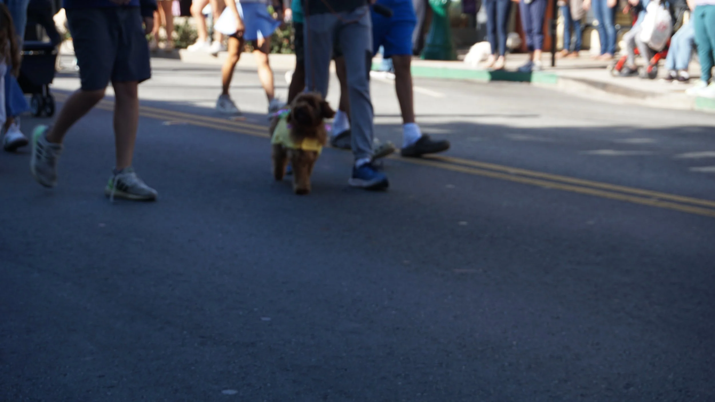 DSC01100.JPG