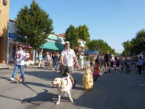 P1010276.jpg