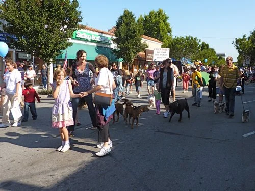 P1010271.jpg