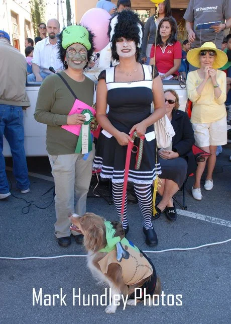 DSC_0378.jpg