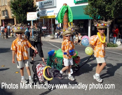 Hawaii5O-1694c162c1ce4d038502e1edc7b30ee3.jpg