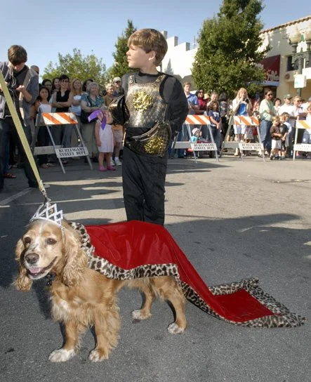 RoyalDog.jpg