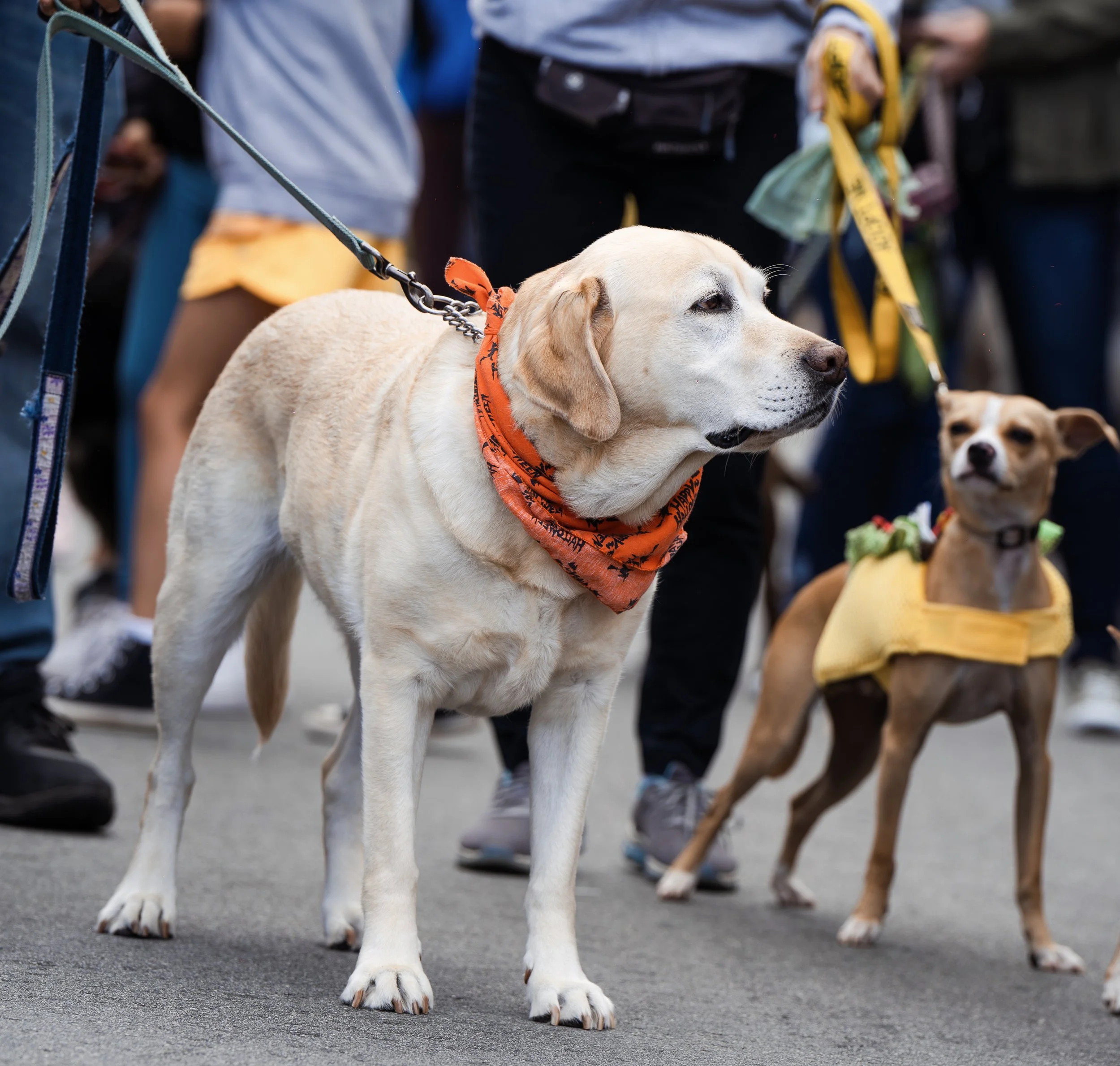 FJR00258-Enhanced-NR.jpg