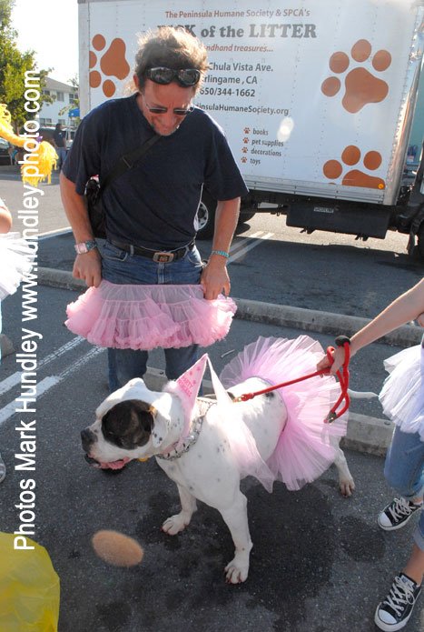 TutuDogMan.jpg