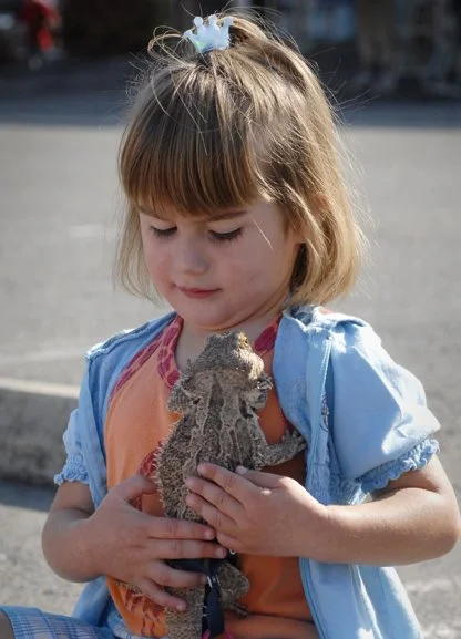 GirlandLizard.jpg