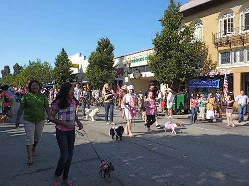 P1010316.jpg