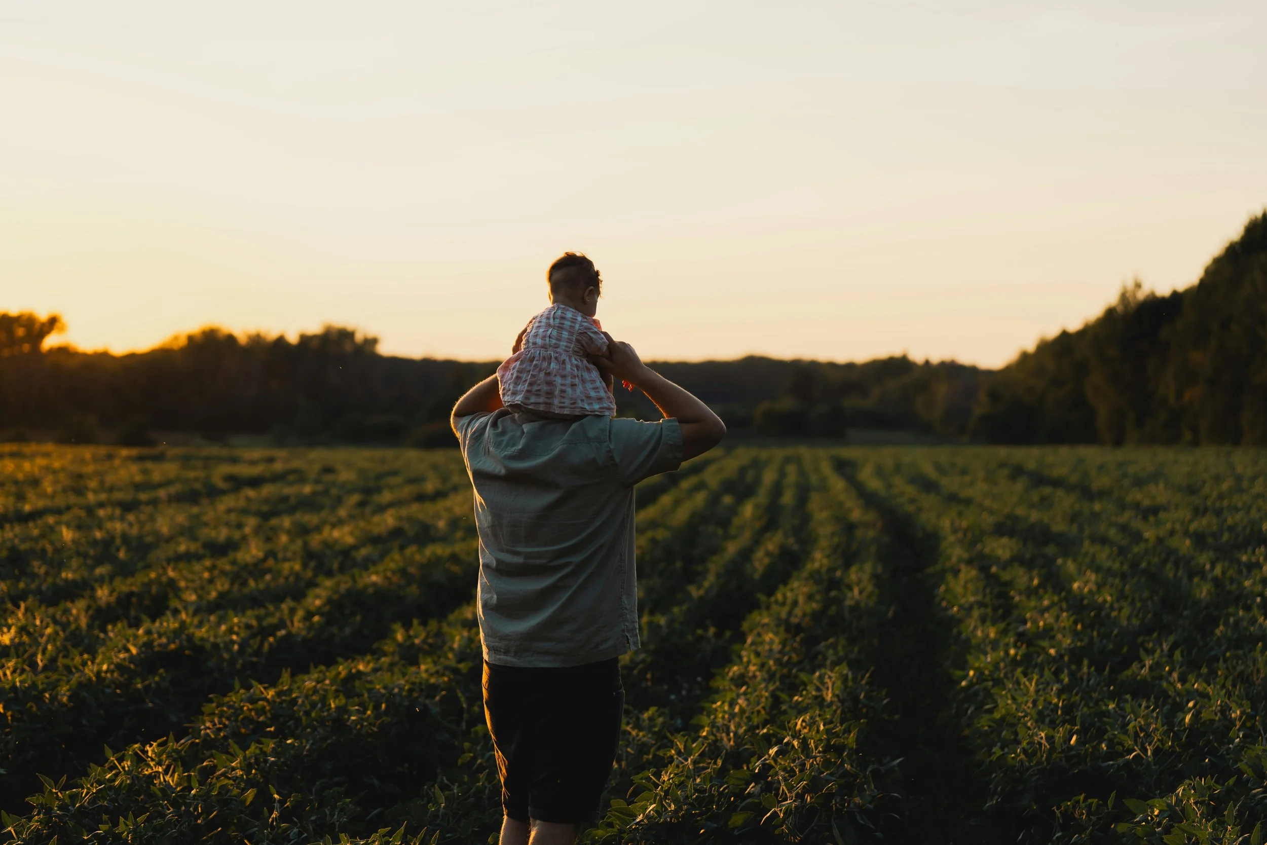 A man carrying a child on his shoulders in a field during sunset.