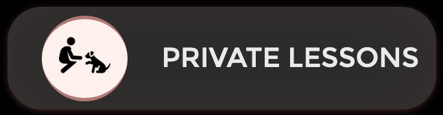 Icon of two people with a rugby ball and a referee or coach, next to the text 'Private Lessons'