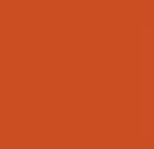 Solid orange background with no distinct objects or features.