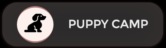 Logo with a black puppy silhouette inside a white circle with a pink outline, next to the text 'PUPPY CAMP' in white on a black background.