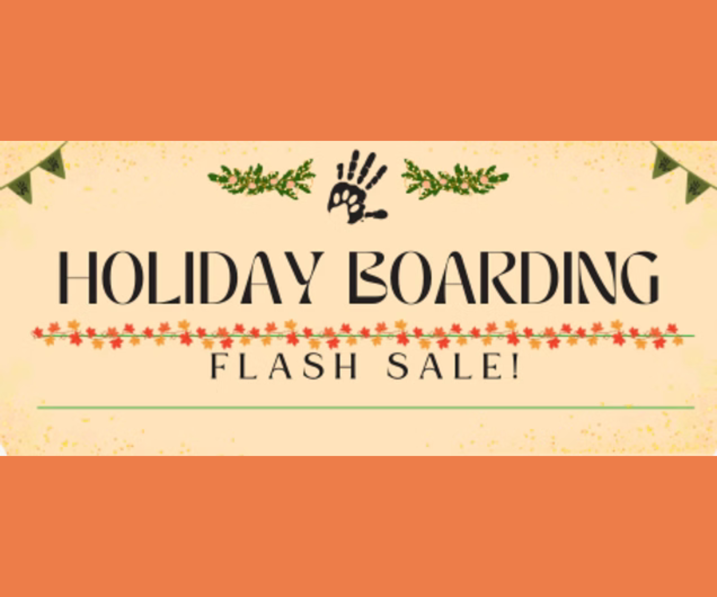 Flash Sale! Holiday Boarding