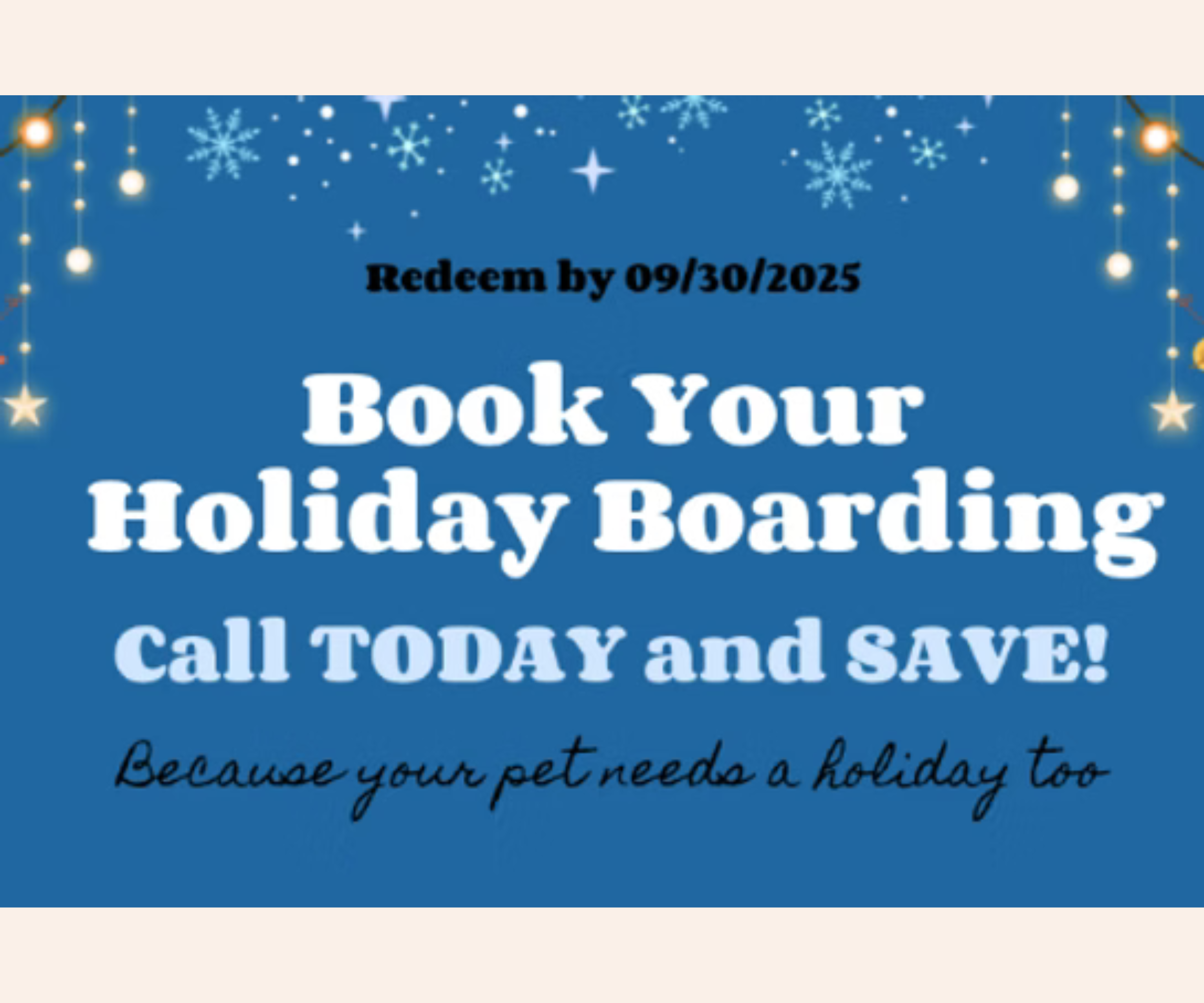 Book Your Holiday Boarding!