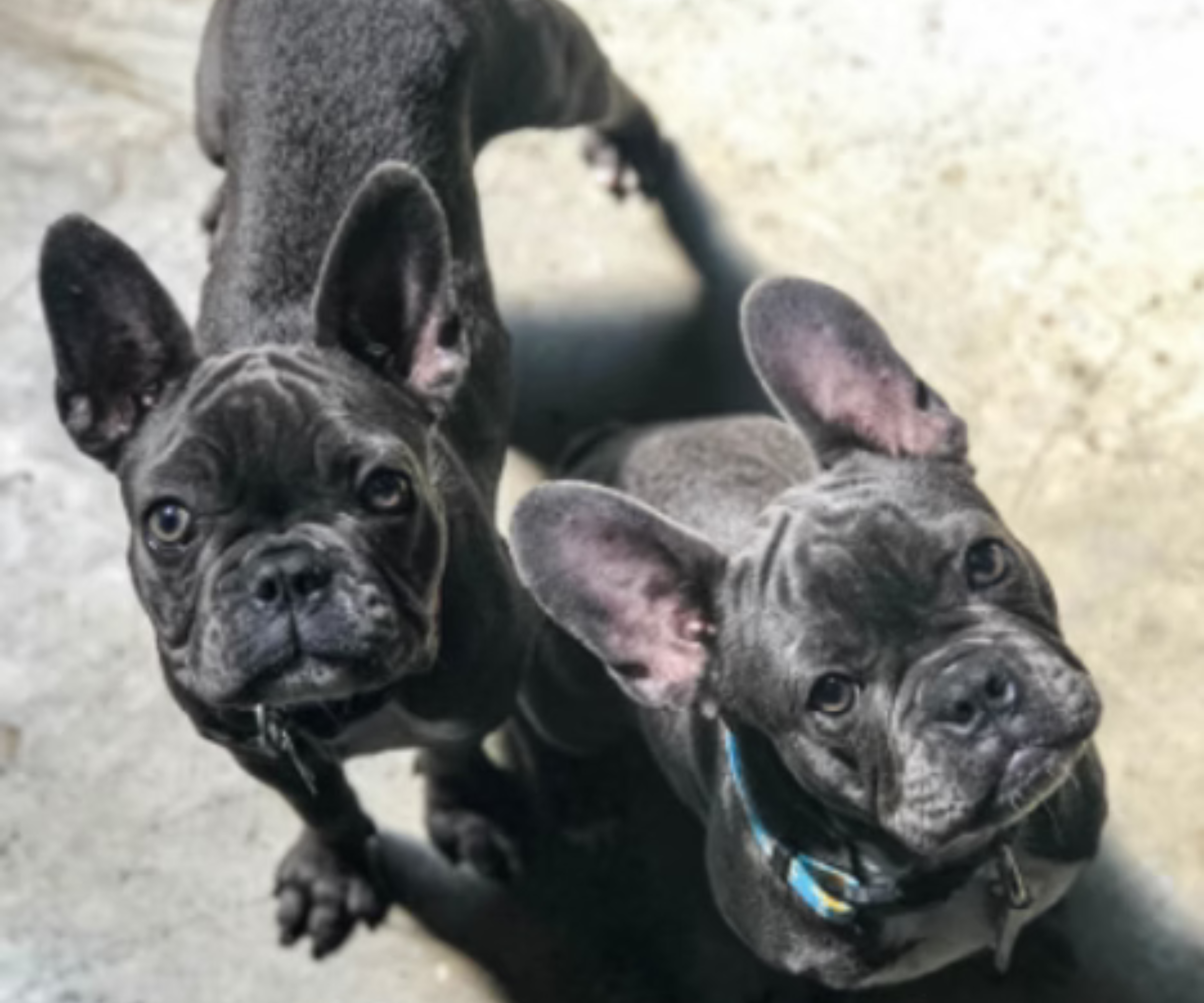 Frequently Asked Questions (FAQs)