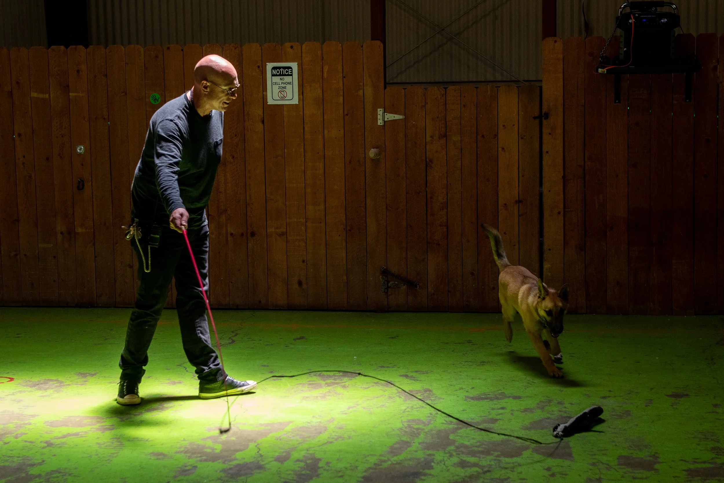 Why Most Dog Training Fails and What Actually Works