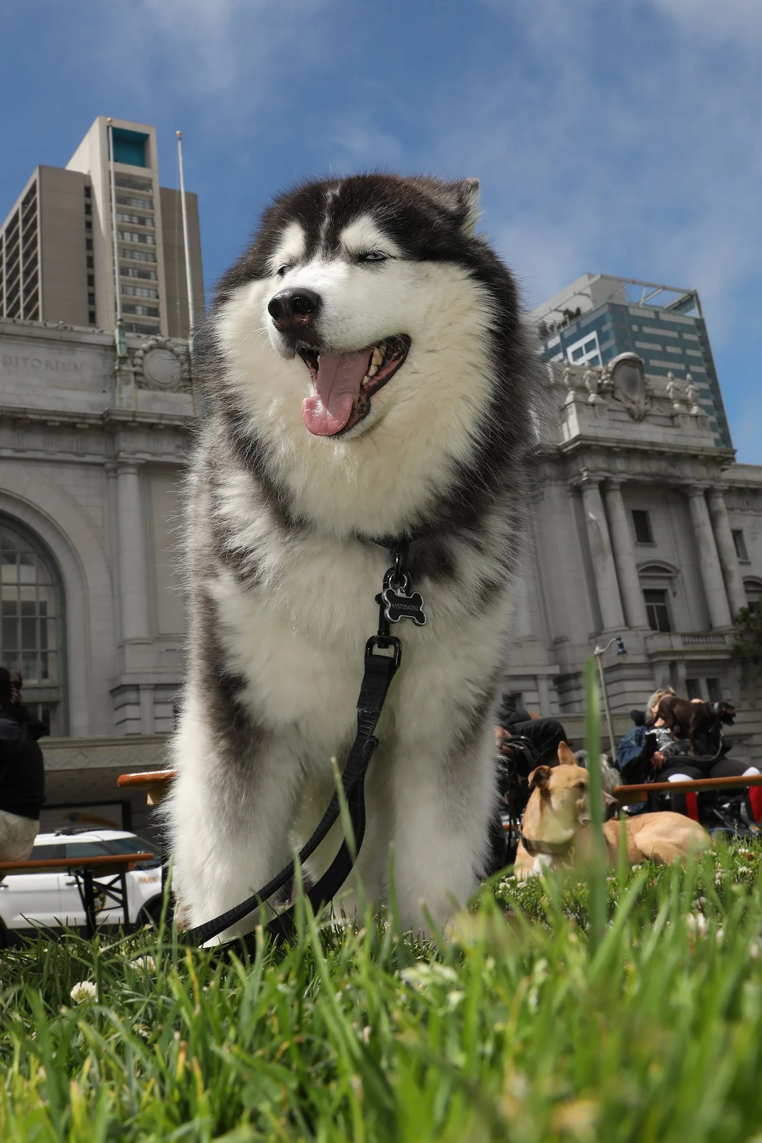 071126SFCivicCenter_043.jpg